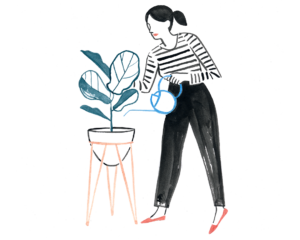 officeplantabout_1080x864